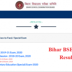 BSEB D.El.Ed Result 2021