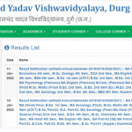 Durg University Result 2022