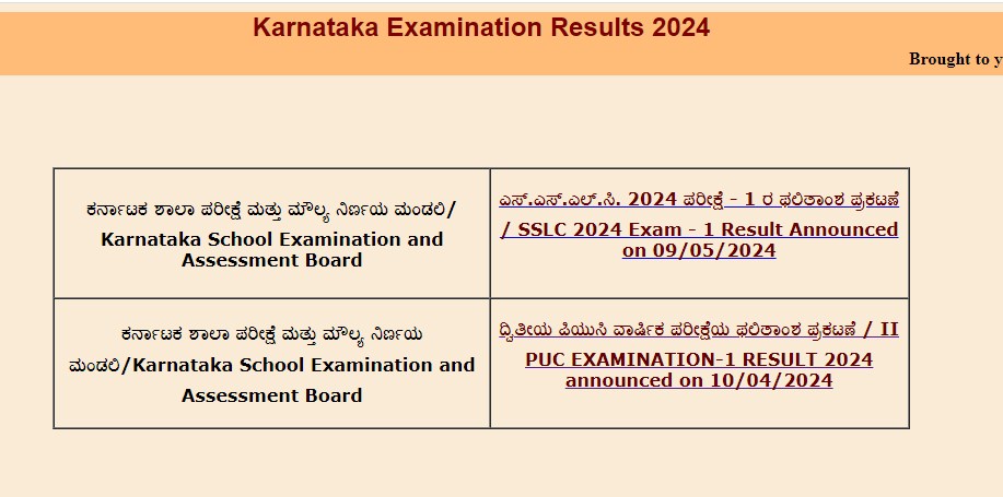Karnataka Board Class 10th Results